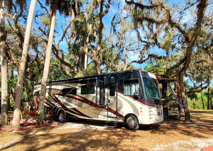 Class A motorhome parked under trees at a campsite – learn how to rodent-proof your RV and keep mice out.