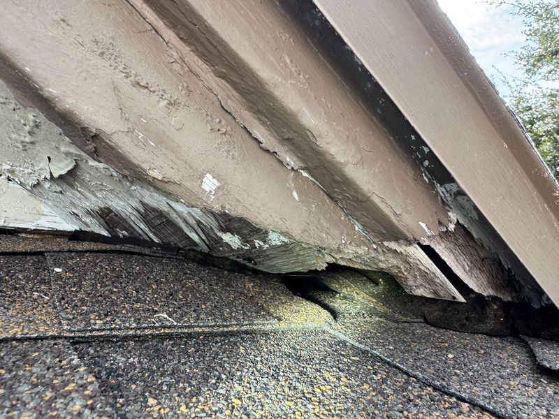 Open, gnawed gap at a roof return above a shingle roof