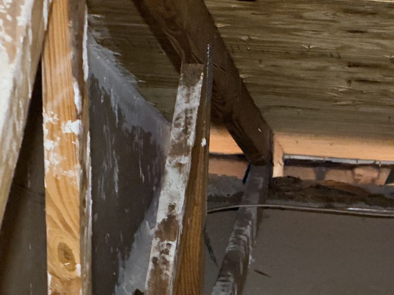 Dark greasy roof rat rub marks on attic trusses and drywall along a travel route