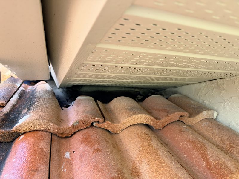 Dark greasy roof rat rub marks on the tile edge at an open soffit gap