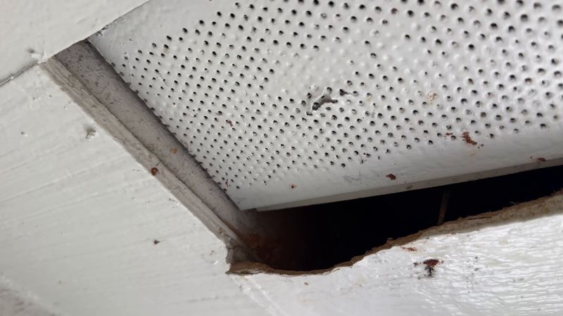 Close-up of a ragged woodpecker hole in foam trim at the edge of a soffit